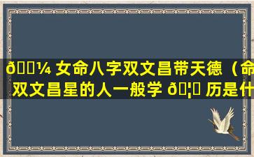 🐼 女命八字双文昌带天德（命带双文昌星的人一般学 🦈 历是什么）